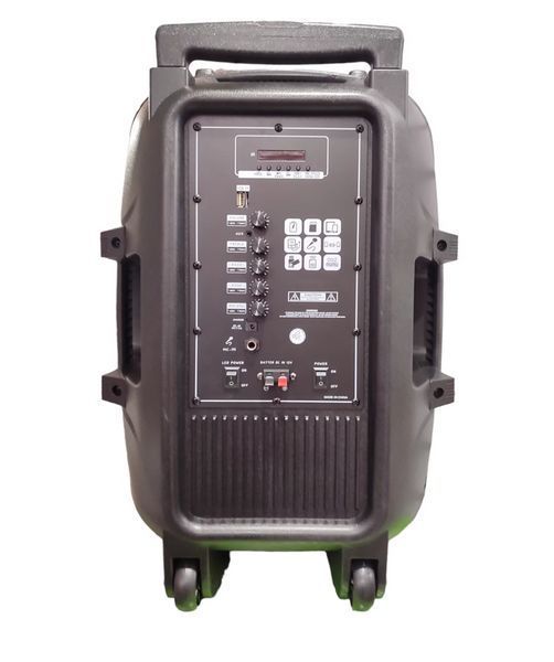 Профессиональная Bluetooth колонкa NDR-A55 15-дюймовая с беспроводным микрофоном 712051 фото