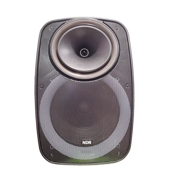 Профессиональная Bluetooth колонкa NDR-A55 15-дюймовая с беспроводным микрофоном 712051 фото